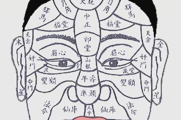 双雀纹与八字纹的区别是什么