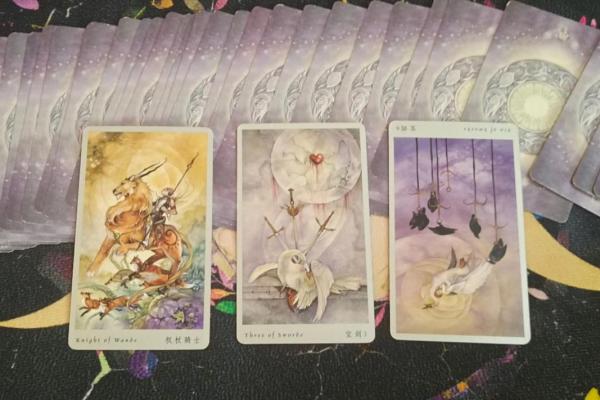 塔罗测试：感情中，你和TA之间还剩多少缘分？