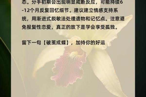 心理测试-选一个你喜欢的 测测你今生注定是哪种命 心理测试-选一个你喜欢的 测测你今生注定是哪种命