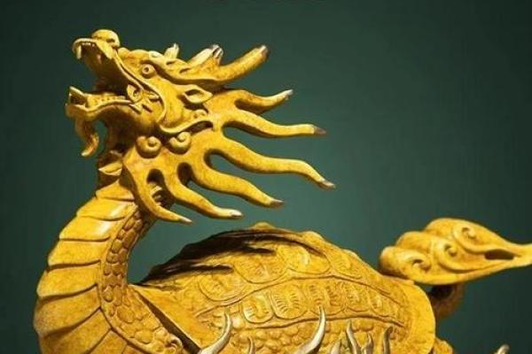 家中风水龙龟的摆放方法及禁忌 家中风水龙龟的摆放方法及禁忌