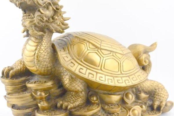家中风水龙龟的摆放方法及禁忌 家中风水龙龟的摆放方法及禁忌