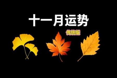 塔罗测试：十一月财运情况如何？