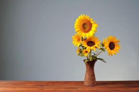 心理测试-你最想摆哪个花瓶在家？测你和爱人的命谁更好？