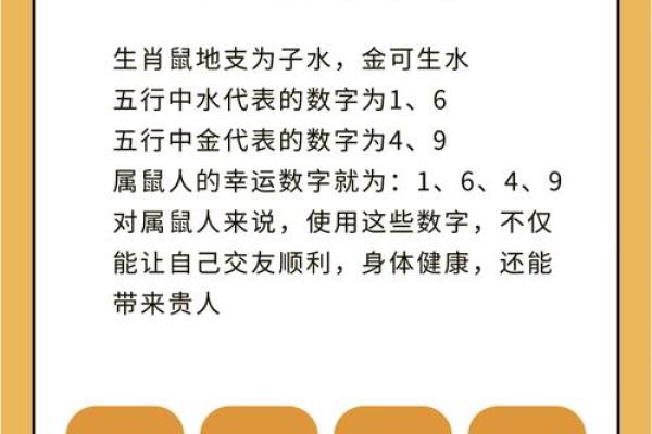 属虎和属鼠的八字合吗