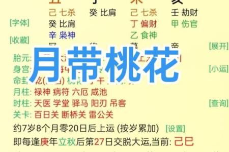 八字带桃花的特点有哪些方面呢