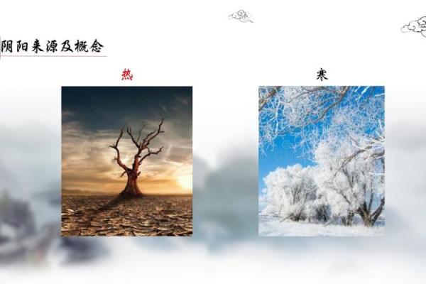 第一课丨什么是四柱八字? 第一课丨什么是四柱八字?