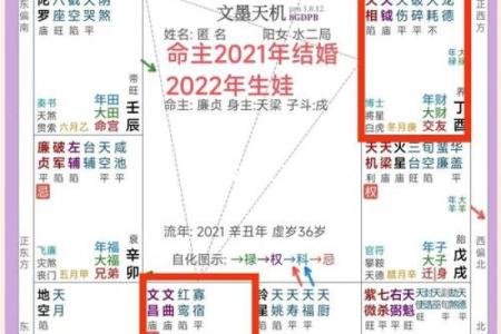 八字婚姻宫冲子女宫