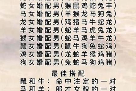 八字测算八字合婚五行查询