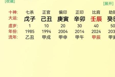 【个人八字分析】详解八字，揭示命运轨迹