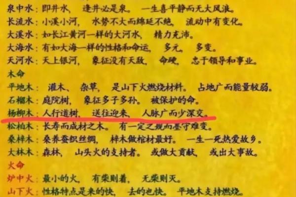 大成就的八字命格有哪些 大成就的八字命格有哪些