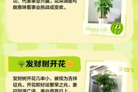 风水上一个人要发财的预兆有哪些