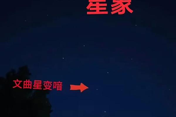 生辰八字天狗星:一个影响命运的神秘存在 生辰八字天狗星:一个影响命运的神秘存在