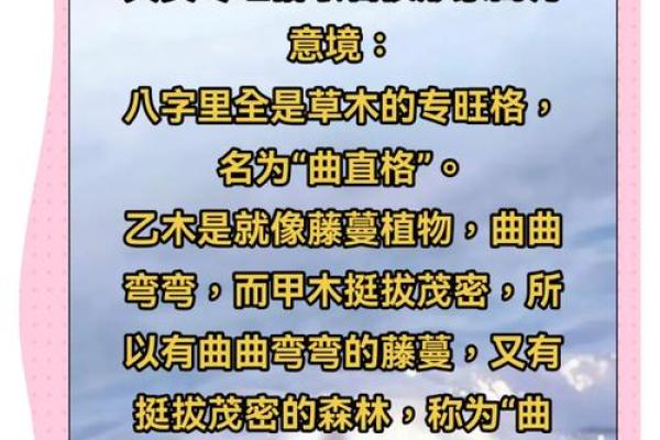 八字专旺格人性格特点，主要分五种