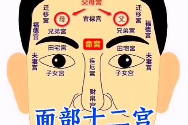 八字夫妻宫,太阳夫妻宫另一半特征面相 八字夫妻宫,太阳夫妻宫另一半特征面相