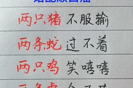 金命和金命姻缘相配吗 金命人的八字婚配口诀