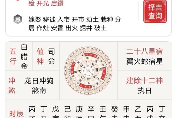 丁酉辛亥丙戍己亥八字命运