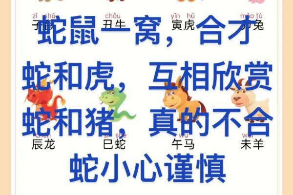 96年鼠和98虎八字合不合 96年鼠和98虎八字合不合朋友