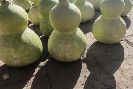 风水葫芦不要了应该怎样处理