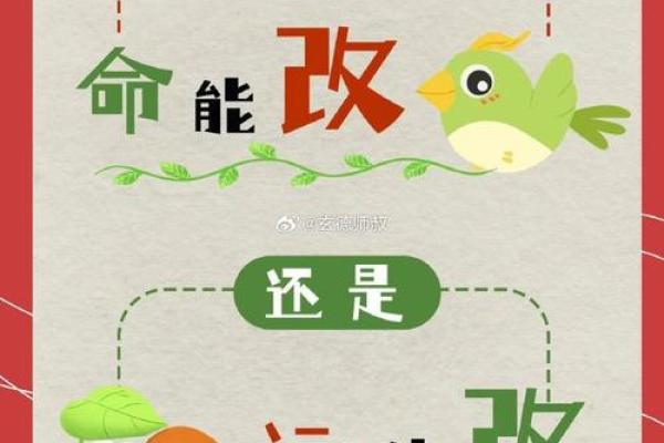 探运八字预测，命运不好可以改运吗？
