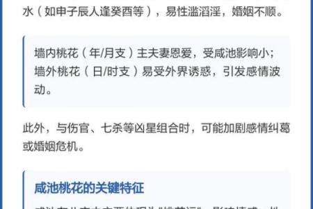 八字有咸池代表是什么？