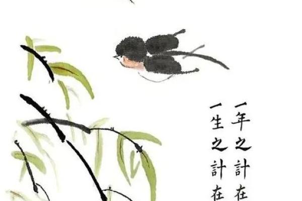 立春 风水 立春 风水