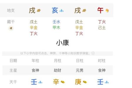 八字身旺财杀两透