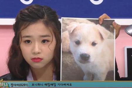 小童星八字分析及未来发展趋势