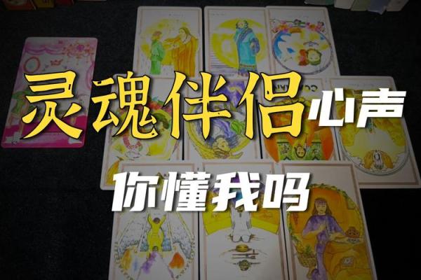 塔罗牌测试你不适合与哪种人恋爱？