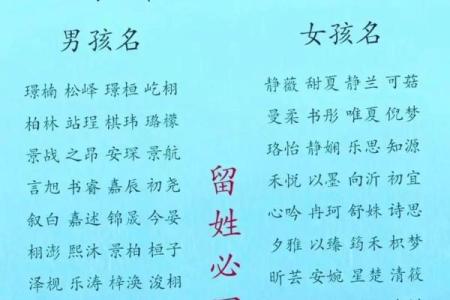 宝宝起名网取名生辰八字